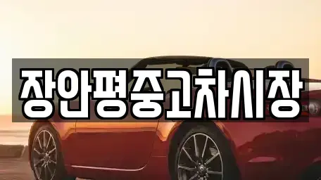 서울 성동구 금호동2가 중고차매매,단기렌트카,중고차매입,장기렌트카,중고차,렌트카
