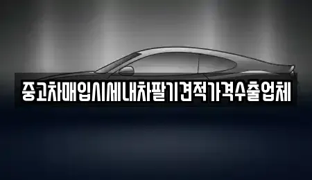 서울 성동구 금호동2가 중고차매입 전문 중고차매입시세내차팔기견적가격수출업체