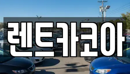 서울 성동구 성수동1가 렌트카 전문 렌트카코아
