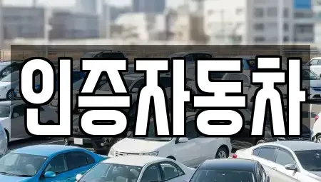 서울 성동구 성수동1가 중고차매매 전문 인증자동차