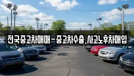 서울 성동구 성수동1가 중고차매입 전문 전국중고차매매-중고차수출,사고노후차매입