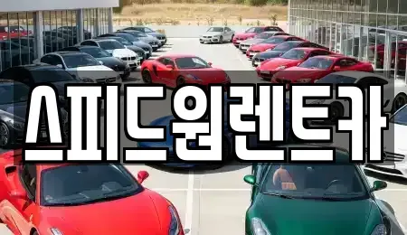 서울 성동구 옥수동 렌트카 전문 스피드원렌트카