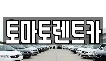 서울 성동구 옥수동 렌트카 전문 토마토렌트카