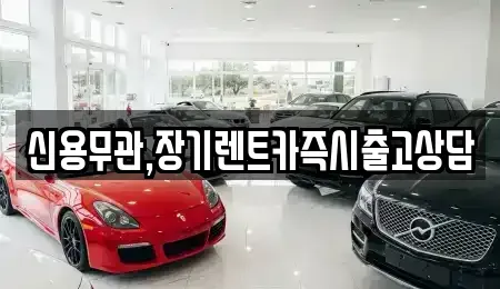서울 성동구 옥수동 장기렌트카 전문 신용무관,장기렌트카즉시출고상담