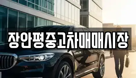 서울 성동구 옥수동 중고차매매 전문 장안평중고차매매시장