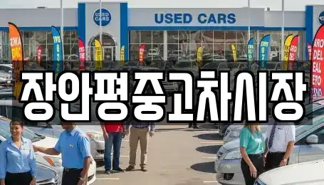 서울 성동구 옥수동 중고차매매 전문 장안평중고차시장