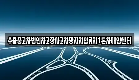 서울 성북구 동선동1가 중고차 전문 수출중고차법인차고장사고차망자차압류차1톤차매입센터