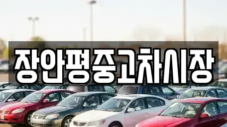 서울 성북구 동선동1가 중고차 전문 장안평중고차시장