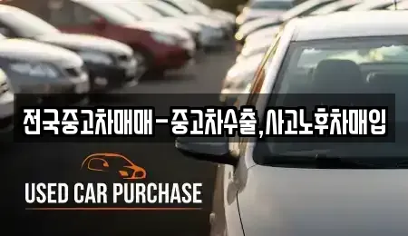서울 성북구 동선동1가 중고차 전문 전국중고차매매-중고차수출,사고노후차매입