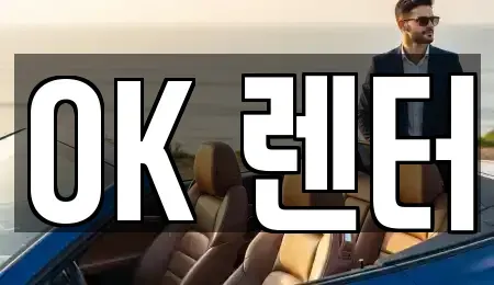 서울 성북구 삼선동5가 렌트카 전문 OK 렌터