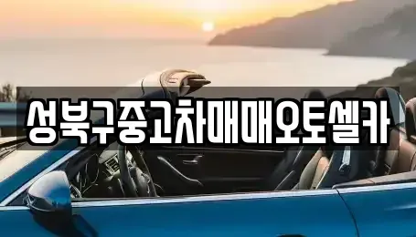 서울 성북구 삼선동5가 중고차 전문 성북구중고차매매오토셀카
