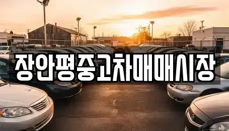 서울 성북구 삼선동5가 중고차 전문 장안평중고차매매시장