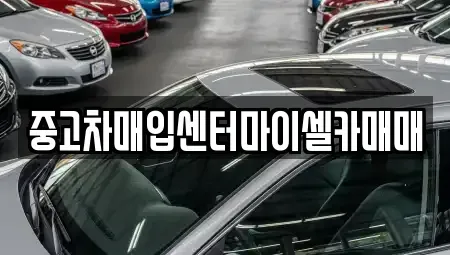 서울 성북구 삼선동5가 중고차 전문 중고차매입센터마이셀카매매