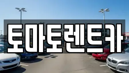 서울 성북구 종암동 렌트카 전문 토마토렌트카