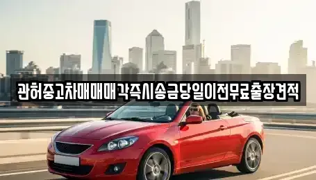 서울 성북구 종암동 중고차 전문 관허중고차매매매각즉시송금당일이전무료출장견적