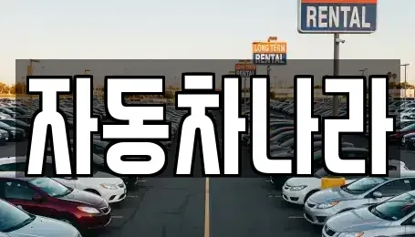 서울 성북구 종암동 중고차 전문 자동차나라