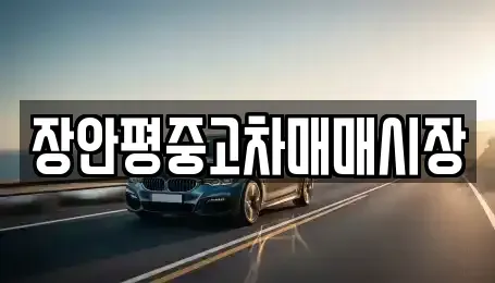 서울 성북구 종암동 중고차 전문 장안평중고차매매시장