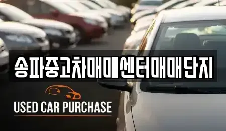 서울 송파구 방이동 중고차매매 전문 송파중고차매매센터매매단지