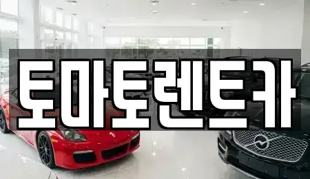 서울 송파구 송파동 렌트카 전문 토마토렌트카