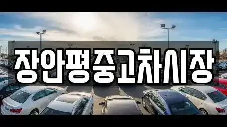 서울 송파구 송파동 중고차 전문 장안평중고차시장