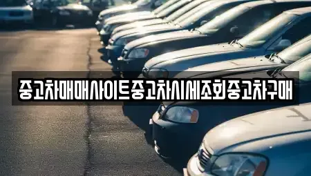 서울 송파구 송파동 중고차,렌트카,중고차매입,중고차매매,장기렌트카,단기렌트카