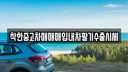 서울 송파구 송파동 중고차 전문 착한중고차매매매입내차팔기수출시세