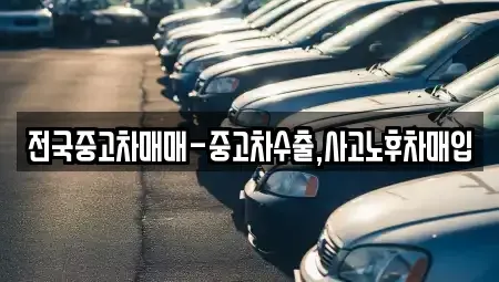 서울 송파구 송파동 중고차매입 전문 전국중고차매매-중고차수출,사고노후차매입