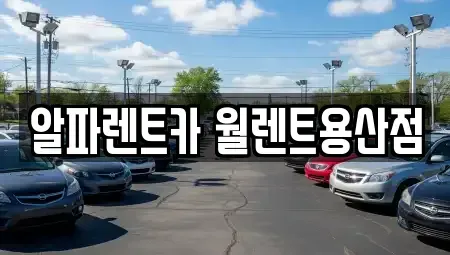 서울 용산구 원효로2가 렌트카 전문 알파렌트카 월렌트용산점