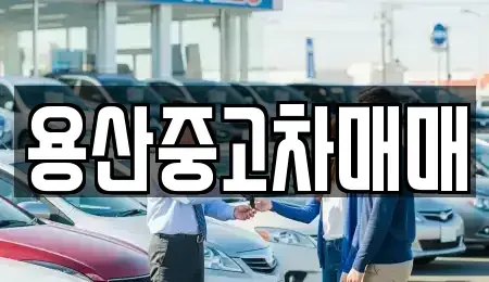 서울 용산구 원효로2가 중고차 전문 용산중고차매매