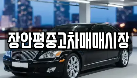 서울 용산구 원효로2가 중고차 전문 장안평중고차매매시장