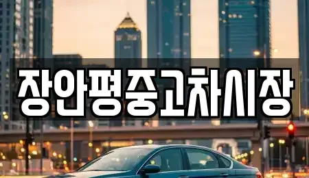 서울 용산구 원효로2가 중고차 전문 장안평중고차시장