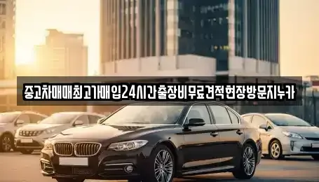 서울 용산구 원효로2가 중고차매입 전문 중고차매매최고가매입24시간출장비무료견적현장방문지누카