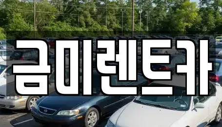서울 종로구 명륜2가 렌트카 전문 금미렌트카