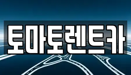 서울 종로구 명륜2가 렌트카 전문 토마토렌트카