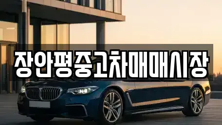 서울 종로구 명륜2가 중고차매매 전문 장안평중고차매매시장