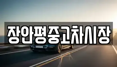 서울 종로구 명륜2가 중고차매매 전문 장안평중고차시장
