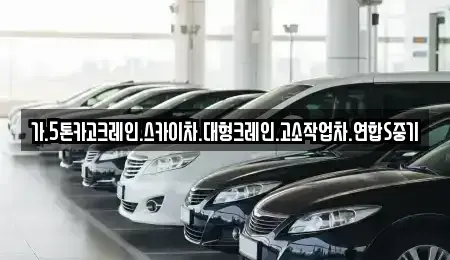 서울 종로구 명륜2가 중고차매입 전문 가.5톤카고크레인.스카이차.대형크레인.고소작업차.연합S중기