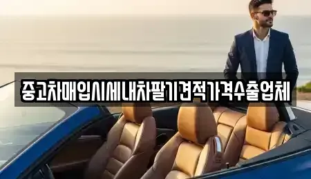 서울 종로구 명륜2가 단기렌트카,중고차매입,중고차매매,중고차,렌트카,장기렌트카