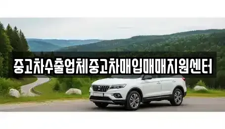 서울 종로구 명륜2가 중고차매입 전문 중고차수출업체중고차매입매매지원센터