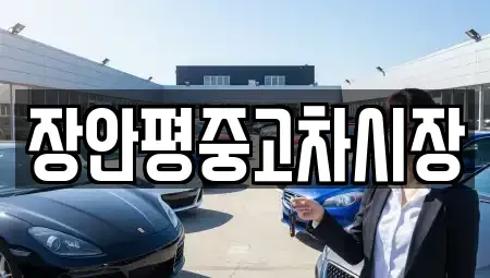 서울 종로구 부암동 중고차 전문 장안평중고차시장