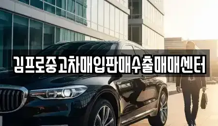 서울 종로구 부암동 중고차매입 전문 김프로중고차매입판매수출매매센터