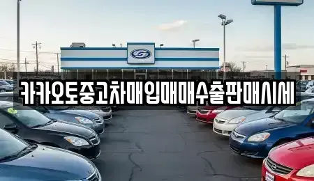 서울 종로구 부암동 중고차매입 전문 카카오토중고차매입매매수출판매시세