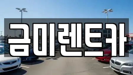 서울 종로구 종로1가 렌트카 전문 금미렌트카