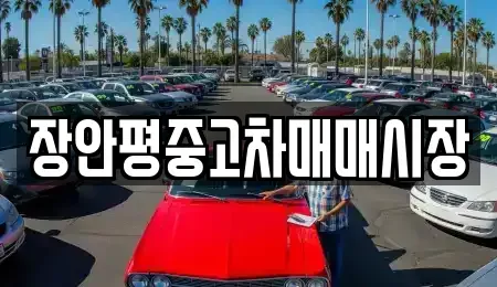 서울 종로구 종로1가 중고차 전문 장안평중고차매매시장
