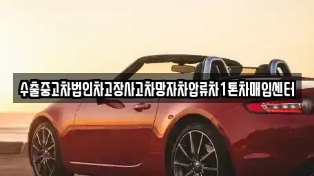 서울 종로구 종로1가 중고차매입 전문 수출중고차법인차고장사고차망자차압류차1톤차매입센터