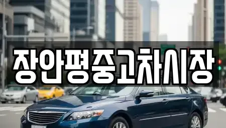 서울 종로구 종로3가 중고차매매 전문 장안평중고차시장