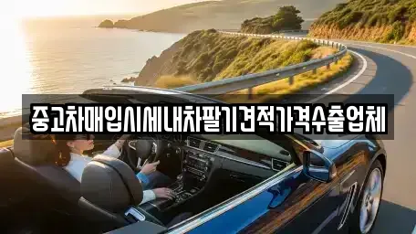 서울 종로구 종로3가 중고차매입 전문 중고차매입시세내차팔기견적가격수출업체