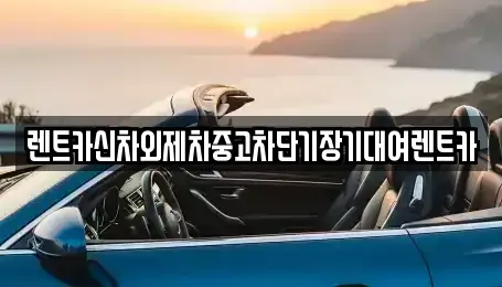 서울 중구 저동2가 렌트카 전문 렌트카신차외제차중고차단기장기대여렌트카