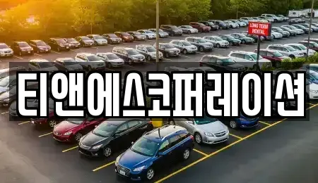 서울 중구 저동2가 렌트카 전문 티앤에스코퍼레이션