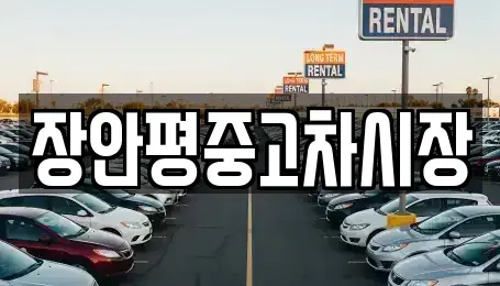 서울 중구 저동2가 중고차 전문 장안평중고차시장